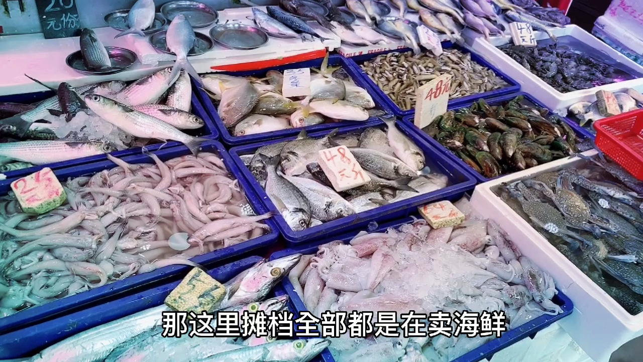 菜市场买海鲜,挑了牙带和鱿鱼共200元,大家觉得贵吗
