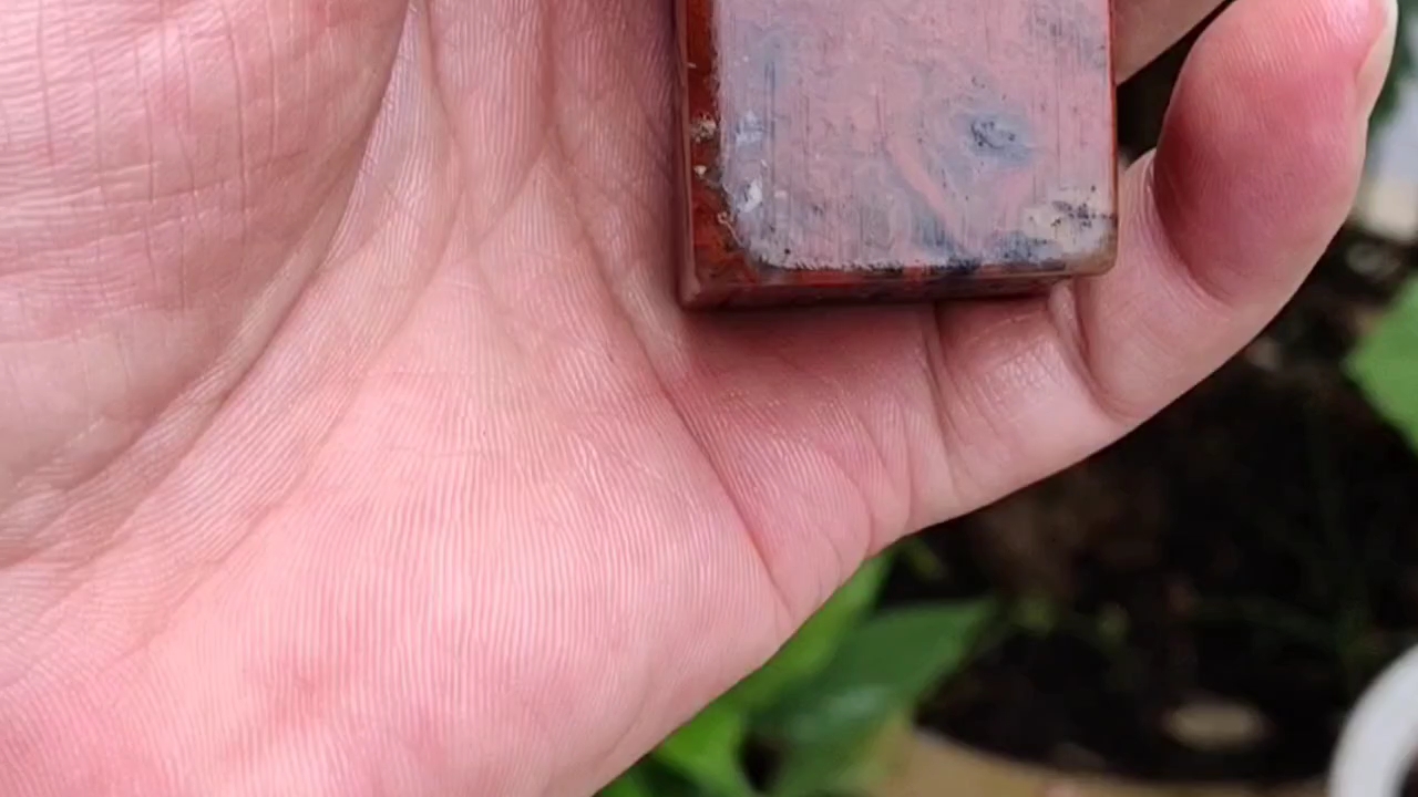 老友家藏难得一见的巴林鸡血石印章!