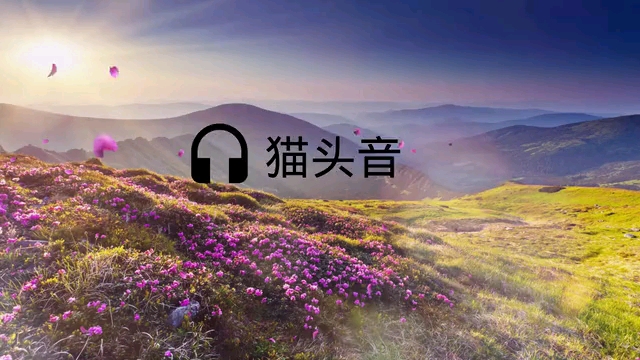 [图]和兰花在一起,这个曲子不错哦