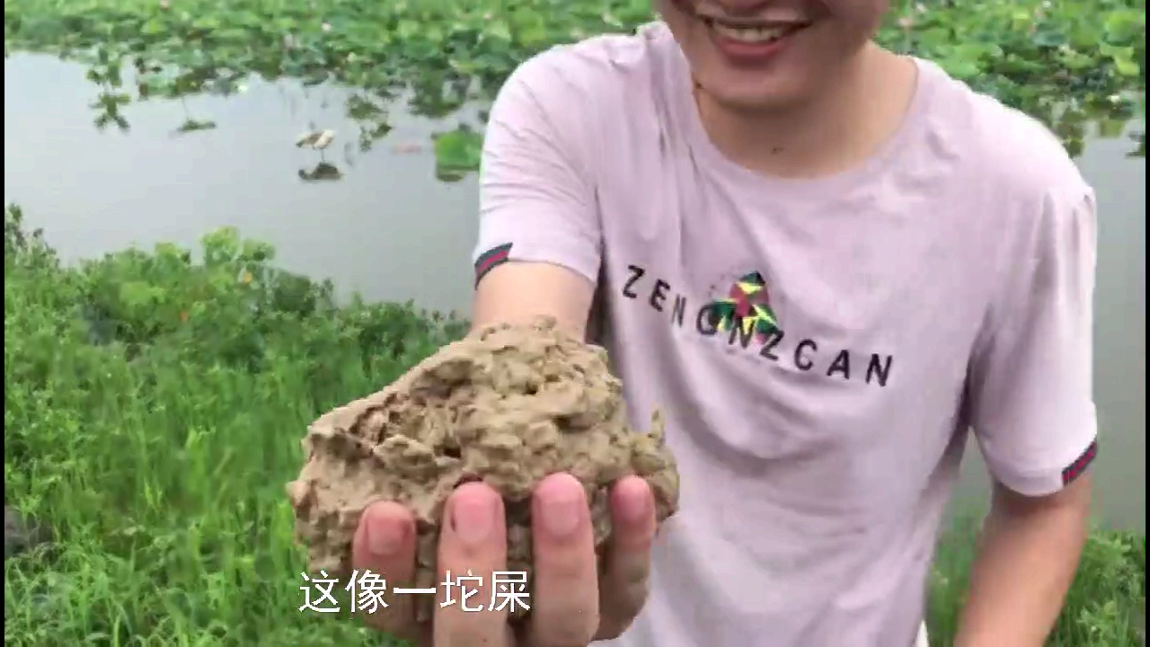 雨后甲鱼投食之乐-田大姐儿子居然拿着一坨屎,咋回事?
