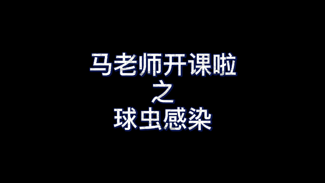 鸡群球虫感染 老马在 小问题