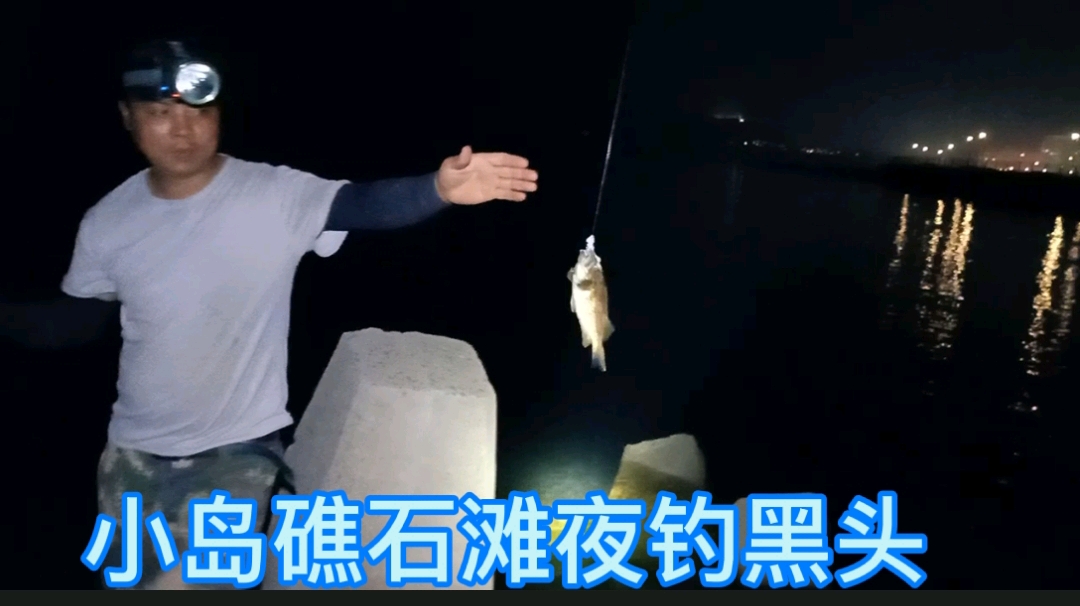 钓友在小岛的礁石滩夜钓,老三前去观钓,海鱼疯狂上钩,过瘾