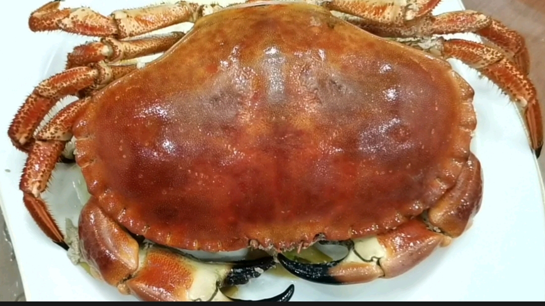 清蒸面包蟹、老公说腰不舒服,又煲了一个膳食猪尾巴汤给喝