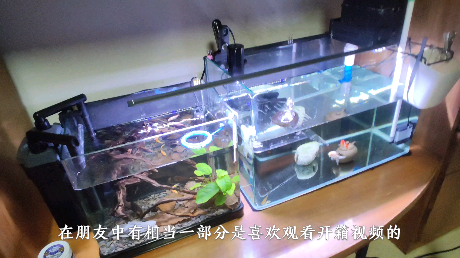 拆箱超白鱼缸,贴完壁纸,新缸还用单独消毒吗?