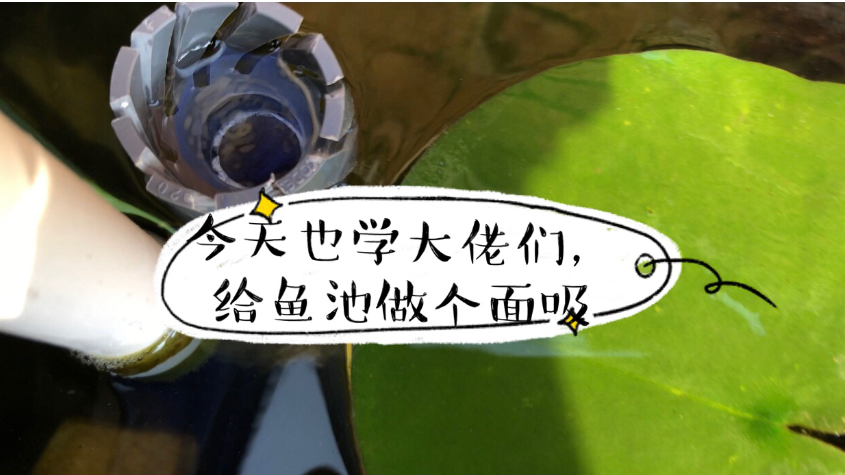 今天也学大佬们一样,给鱼缸做个面吸
