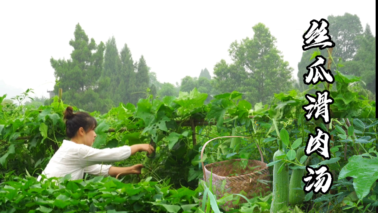 四川农村妹子用自家地里的丝瓜煮滑肉汤,汤鲜肉嫩,简直太好吃了