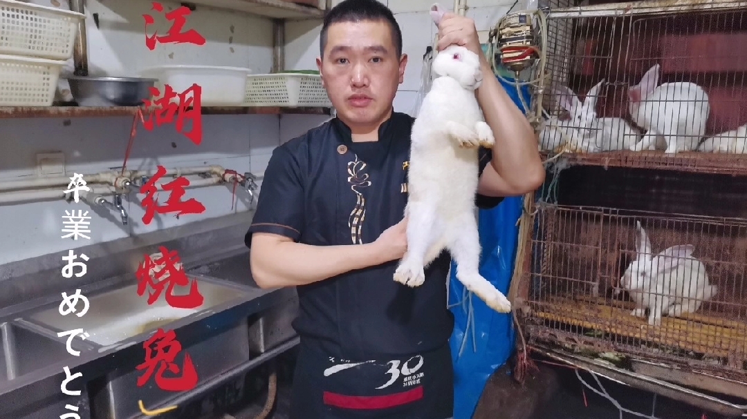 兔子肉还是重庆江湖菜陈师傅会做,香嫩入味,一只兔好大盘。