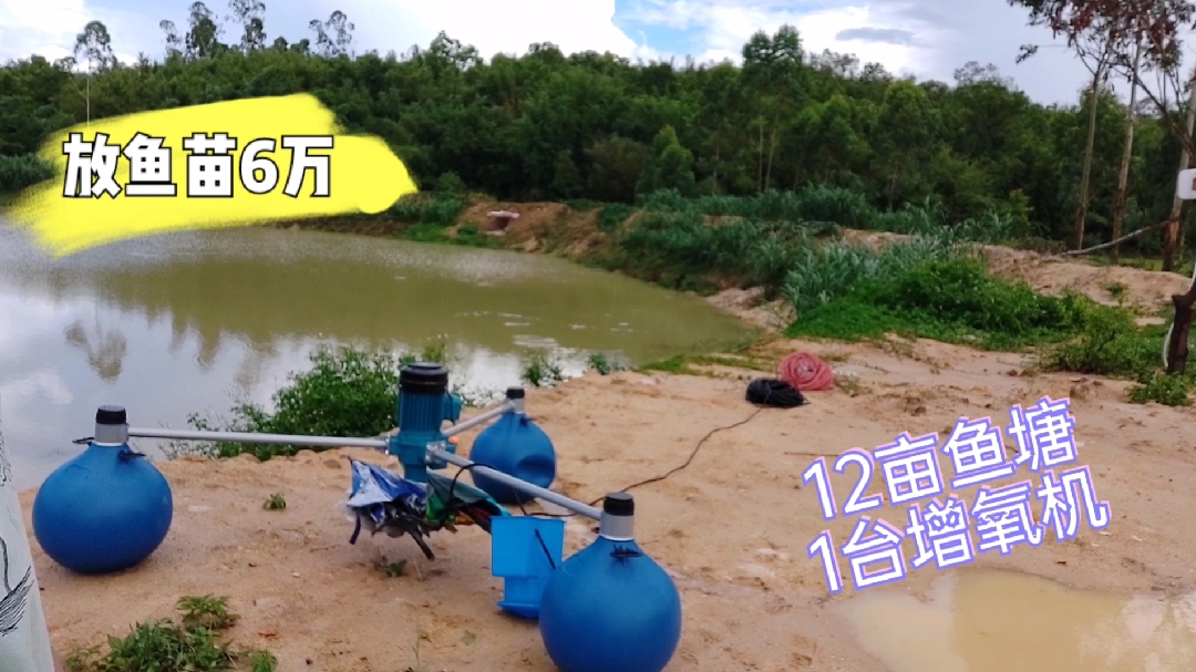 小伙花1000多块买这种增氧机,12亩鱼塘只用1台,效果怎么样?
