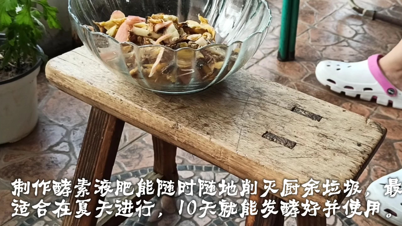 养花种菜肥当先,一个适合夏天沤肥的好方法,鸡蛋壳也能当材料。