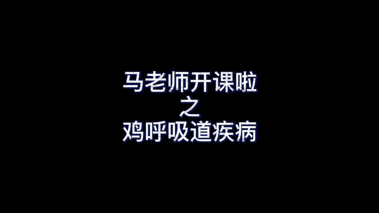 马老师开课啦 鸡呼吸道疾病