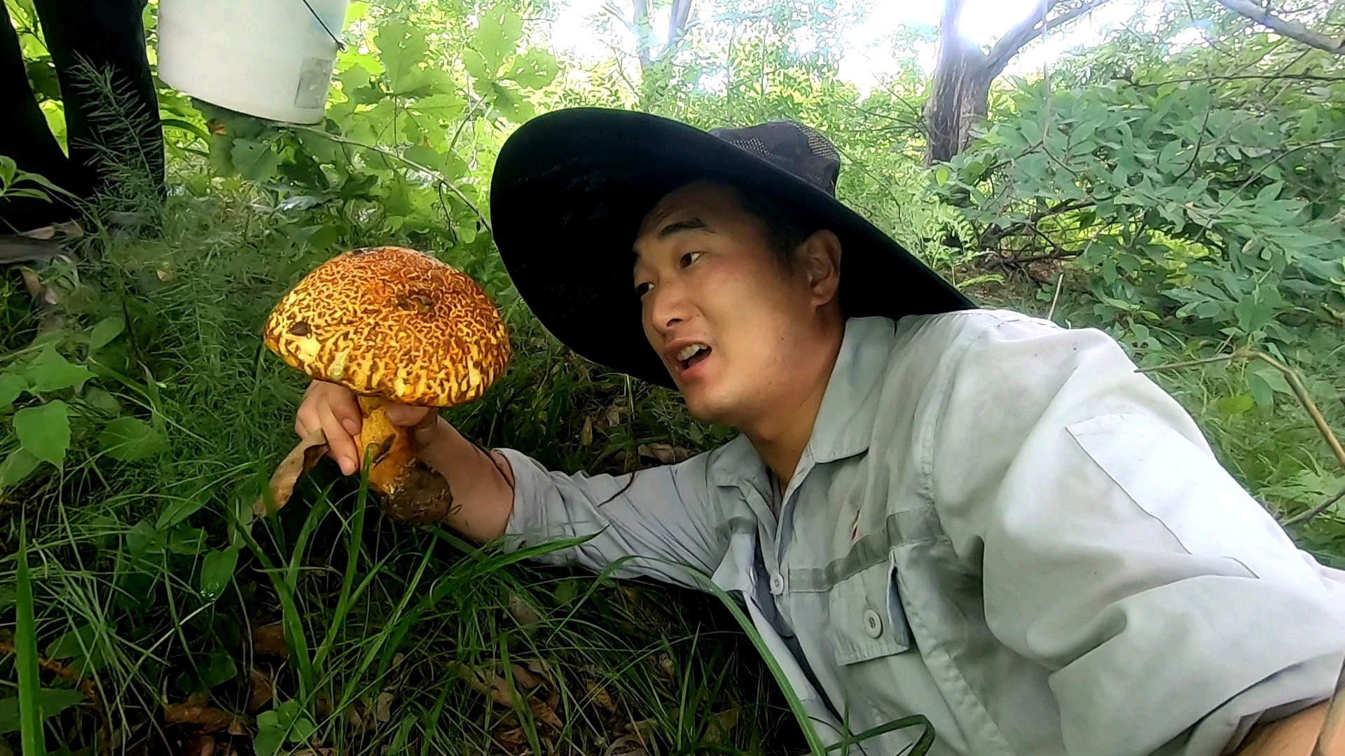 农村小伙深山中捡蘑菇,掀开树叶下意外发现了啥?一斤多发财了
