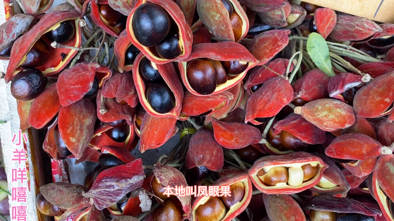 凤眼果,可蒸可煮可烤可烧肉味道好,你们吃过了吗?
