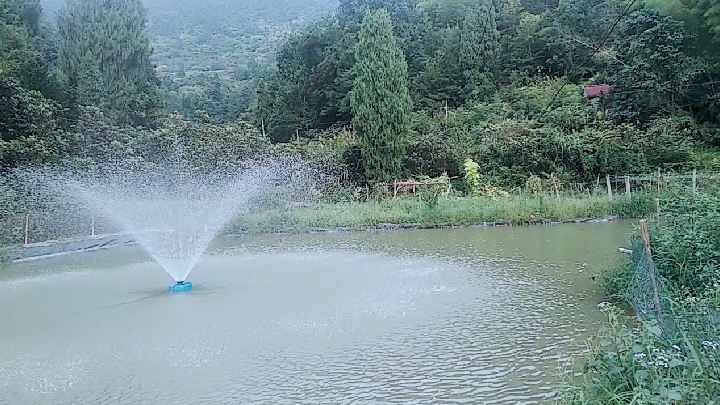 鲫鱼鲤鱼小白鱼,念鱼草鱼胖头鱼,多是山水鱼