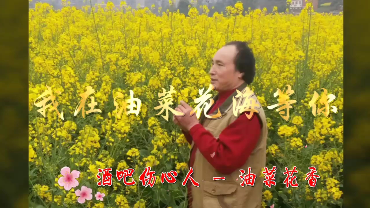 非常好听的歌曲《我在油菜花海等你》