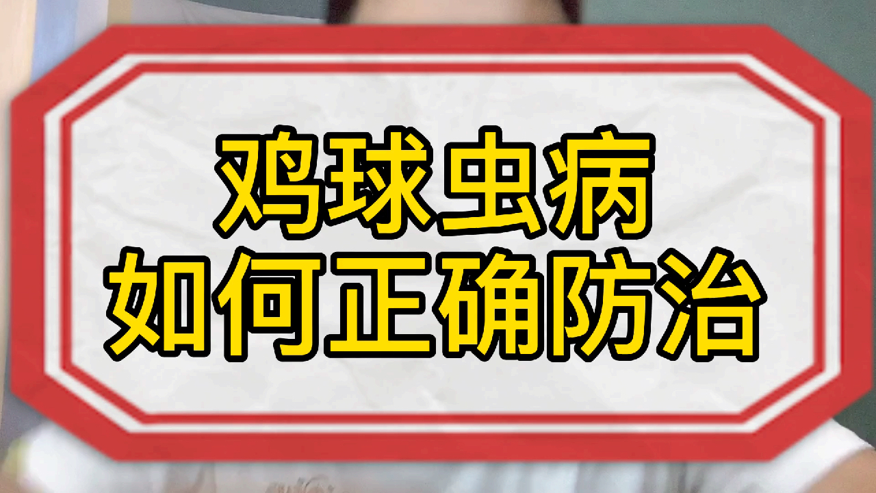 夏季高温高湿,球虫病高发,该如何正确防治