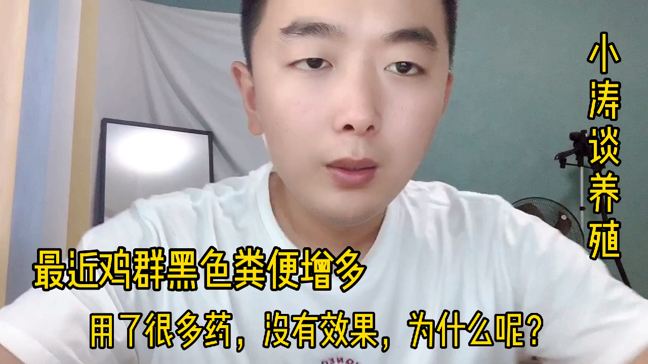 最近鸡群黑色粪便增多,用药效果不好,你知道为什么吗?