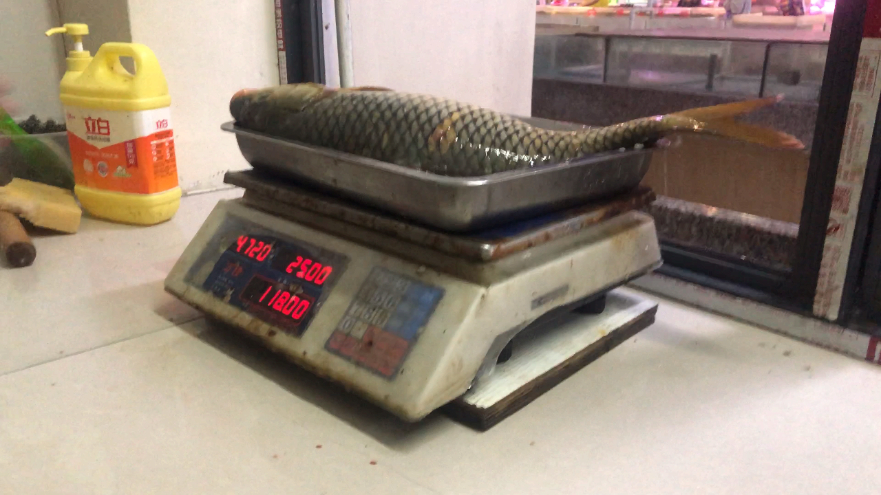 98块钱买一条4斤的鲤鱼做鱼生,装完满满的4盘,上桌好好吃一顿