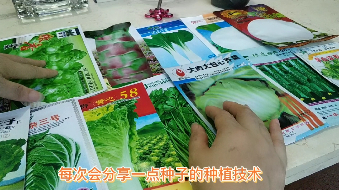 秋天是种菜的好季节,你知道十几种菜的播种时间吗?看完就知道.