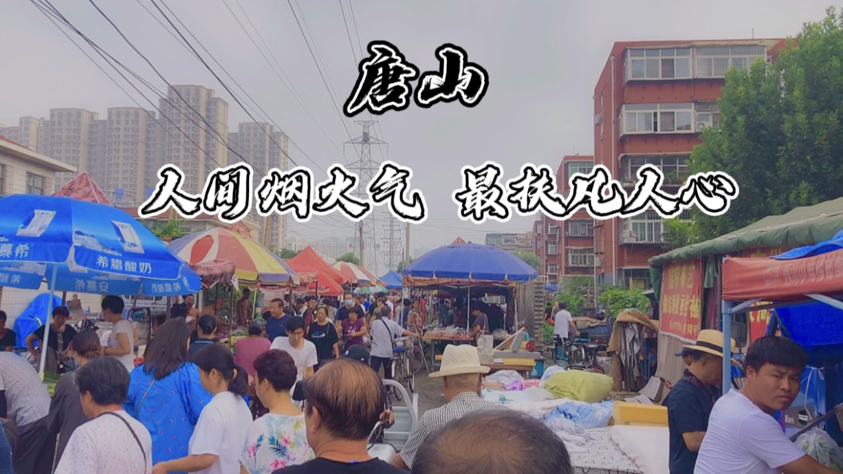 小胖自驾游唐山,逛一逛最大的早市,大螃蟹100元6斤,猪肉白菜价