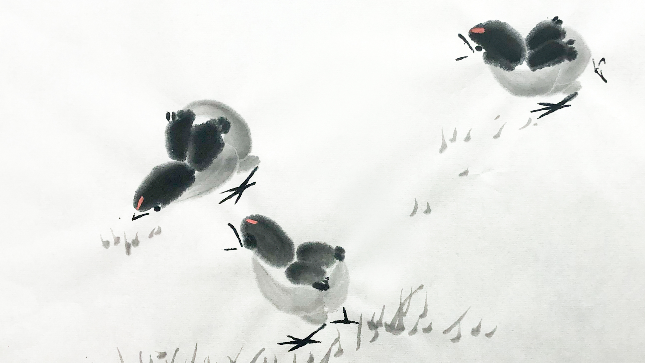 国画小鸡,三种动态画法最透彻的讲解,一看就能学会