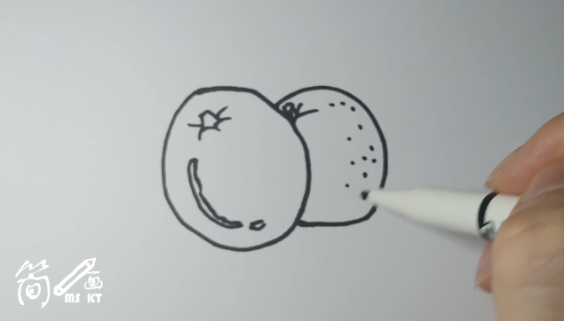 简笔画:(橙子)