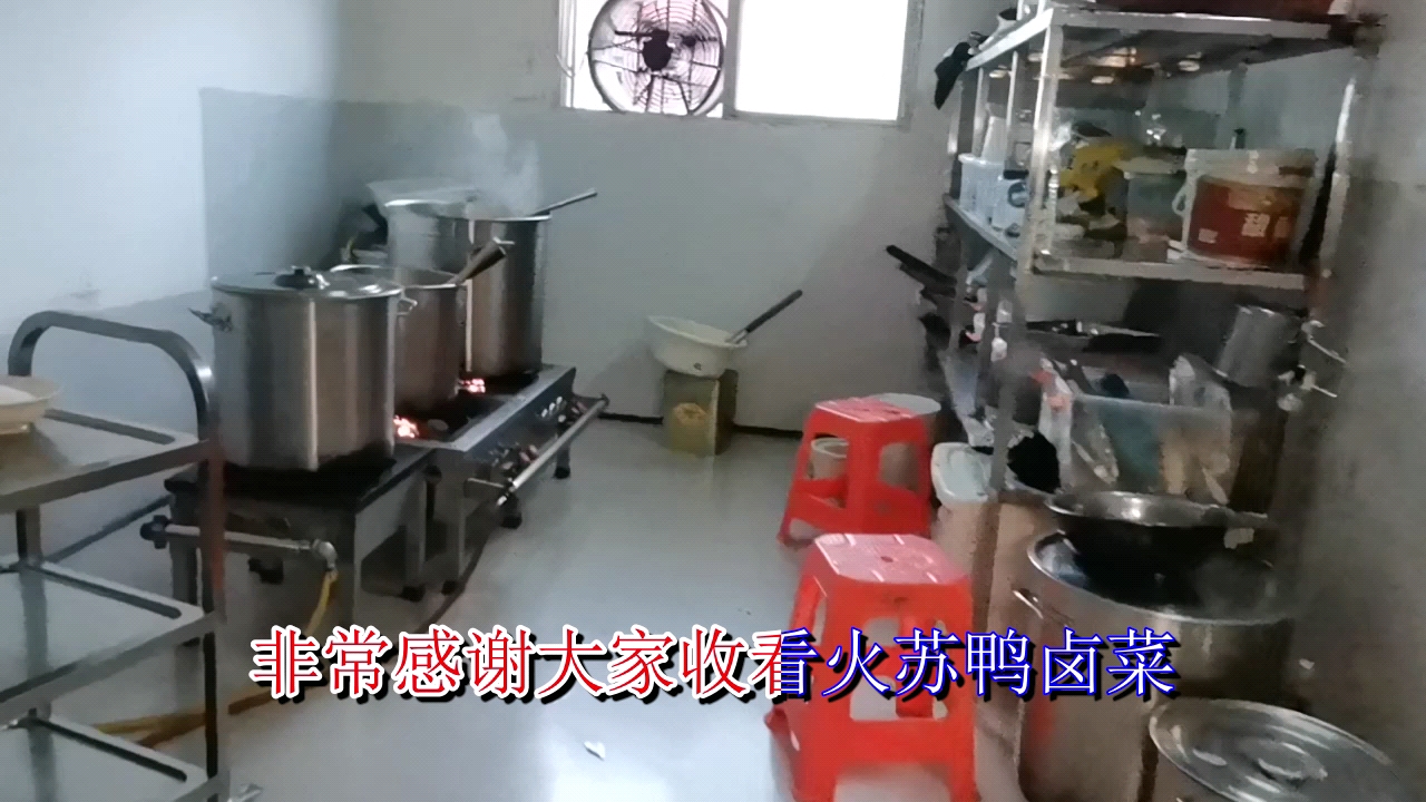 我想学卤鸭有谁知道卤菜店利润多少,鸭掌应该这样卤才对