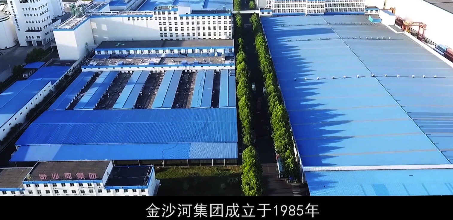 金沙河集团简介 国内面条产业第一