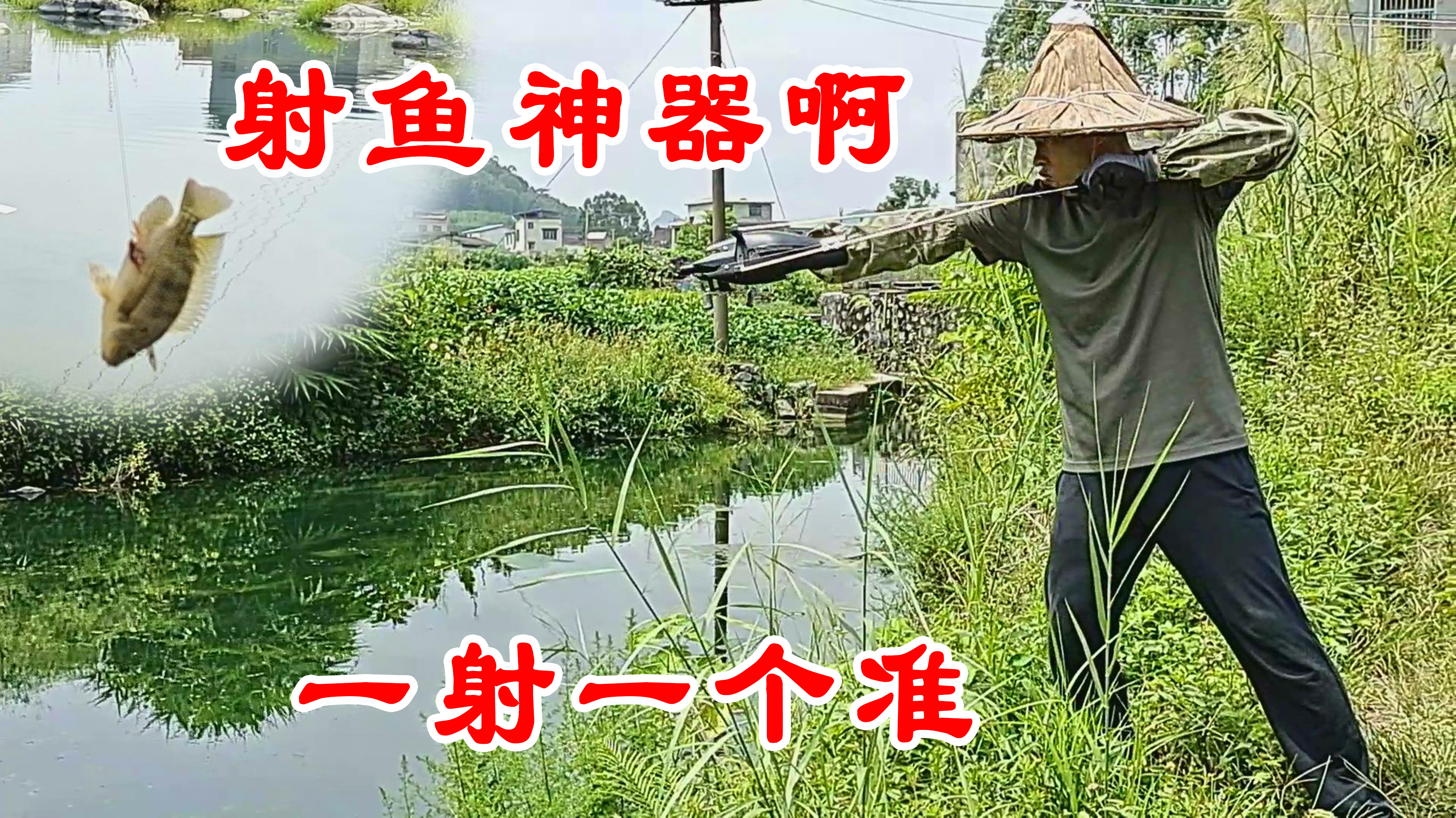 射鱼神器啊,一射一个准,拉鱼上岸的那种感觉实在太过瘾了