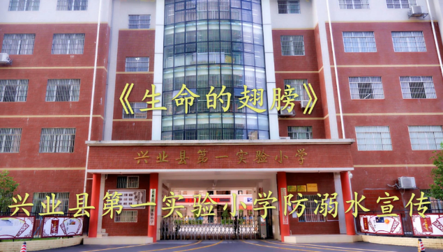 《生命的翅膀》兴业县第一实验小学防溺水宣传歌曲.mp4