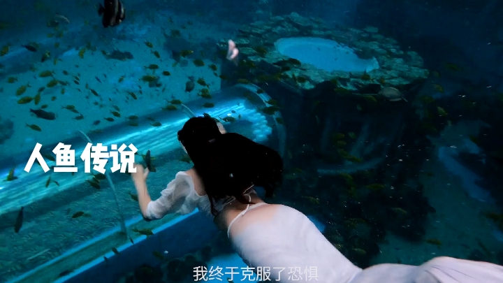 海底人鱼探索,这一生我有过好多奢望,想追梦想越过藩篱。
