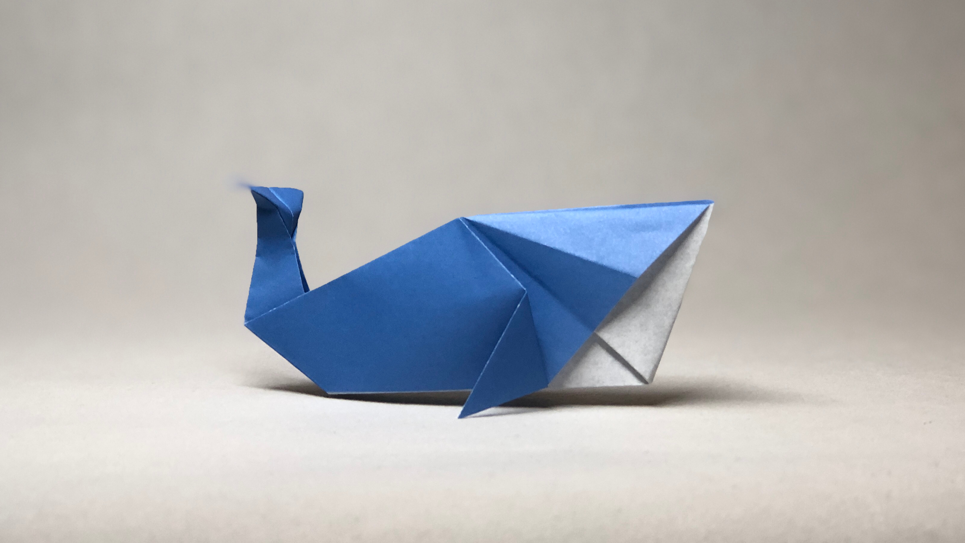 折纸鲸鱼教程,教你折一只海洋巨兽蓝鲸的简单折法