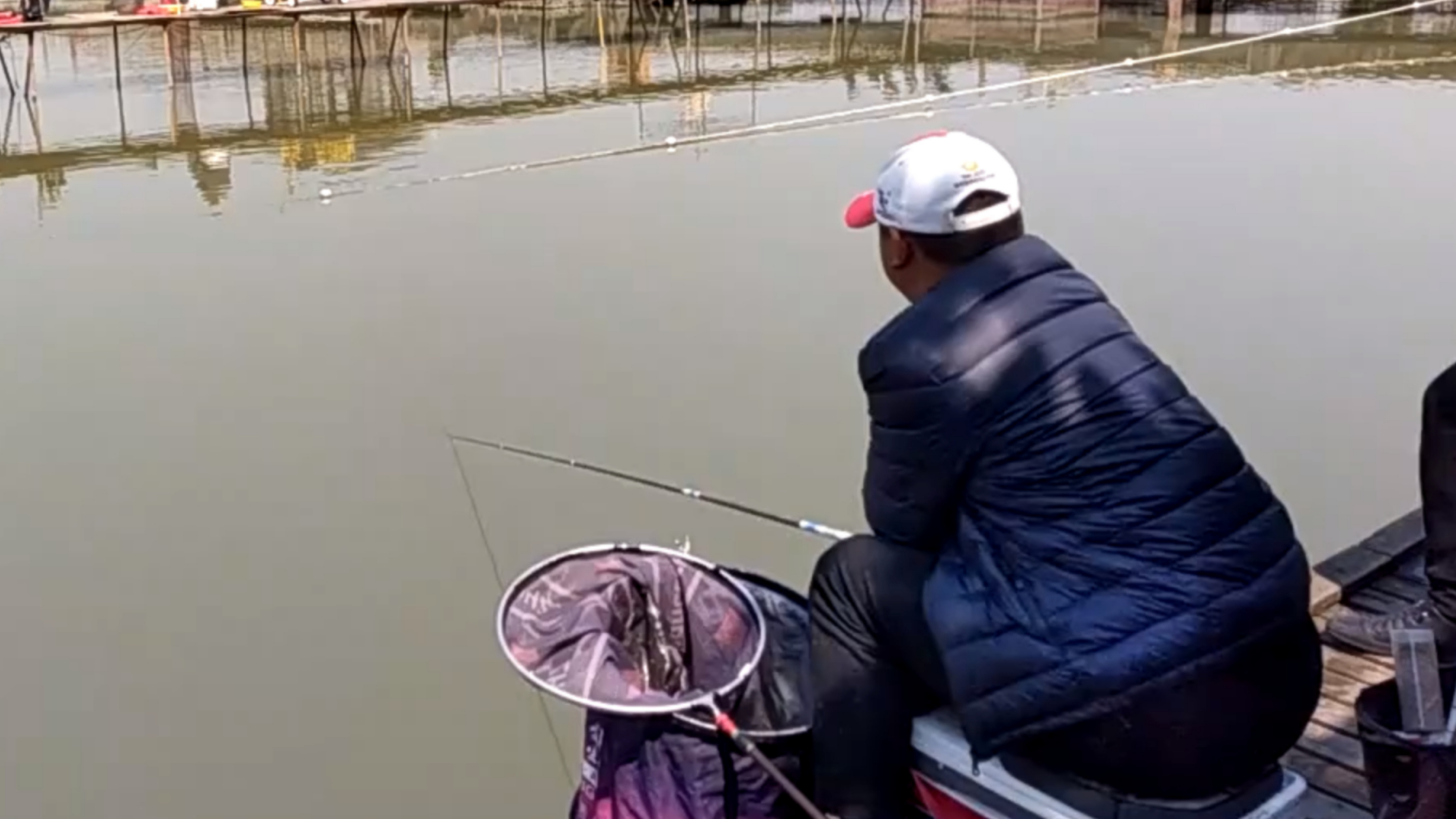 黑坑偷驴钓鲤鱼回锅鱼技巧,0.6子线钓大青鱼,速拔哥视频第二集