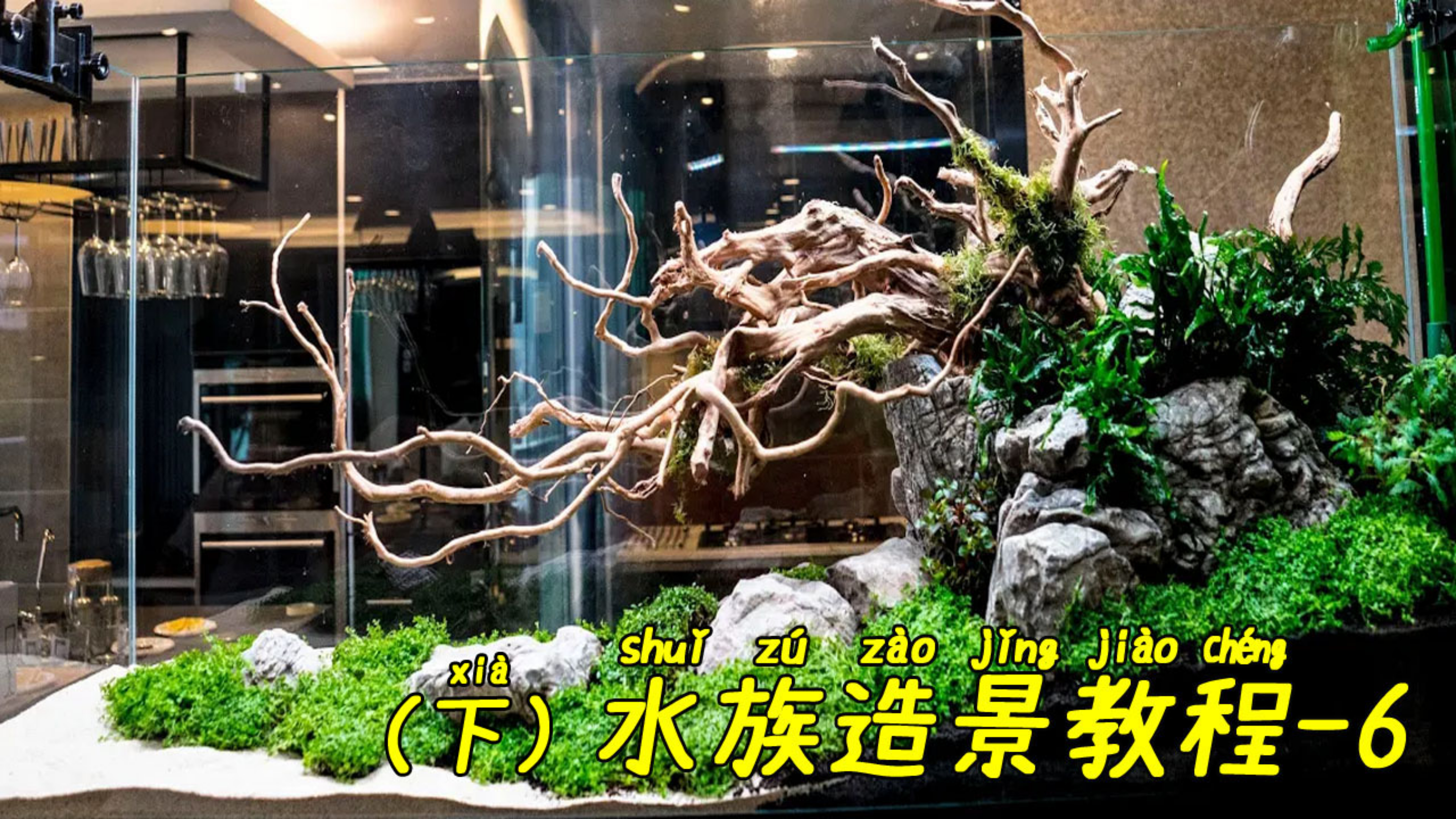 鱼缸造景水族造景教程-6(下)