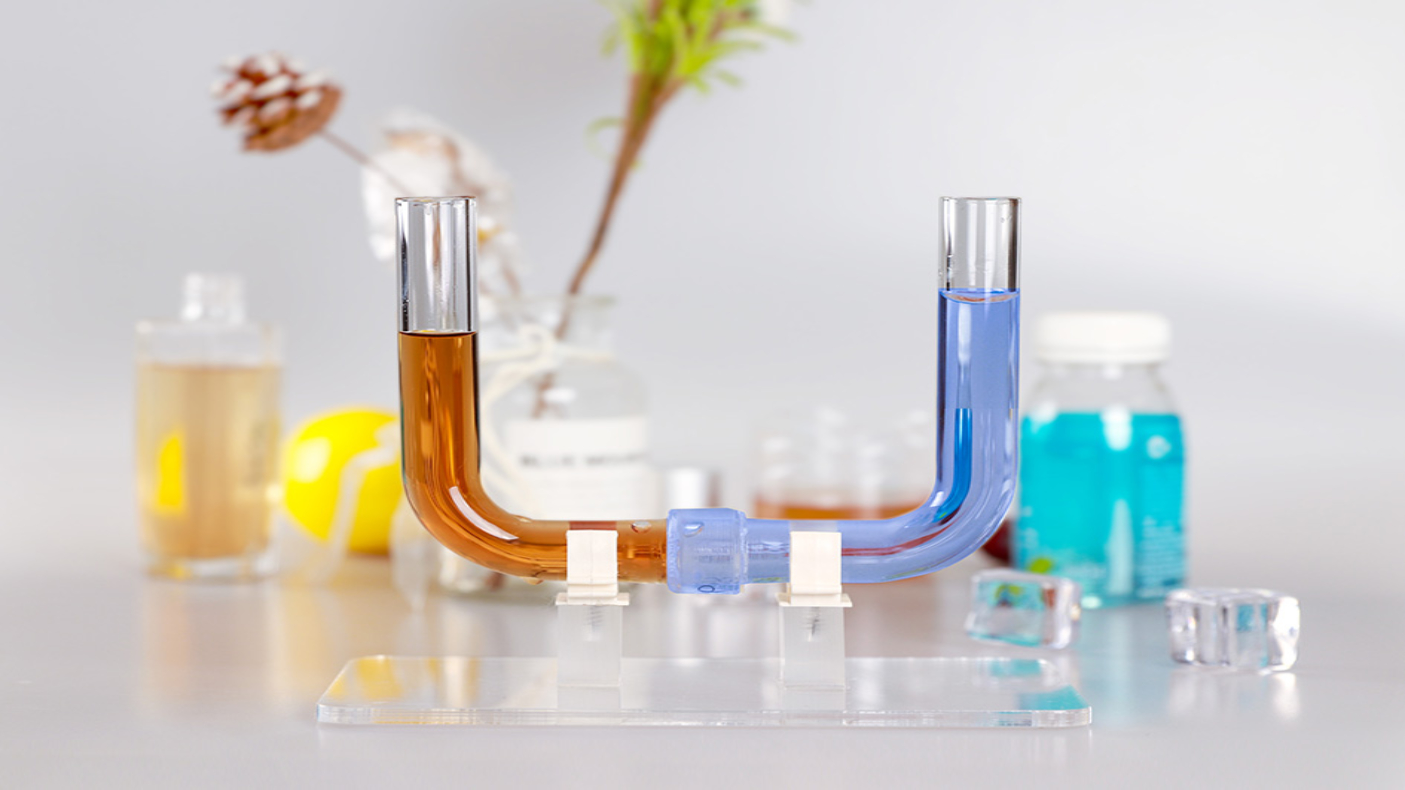 生物半透膜研究渗透实验现象