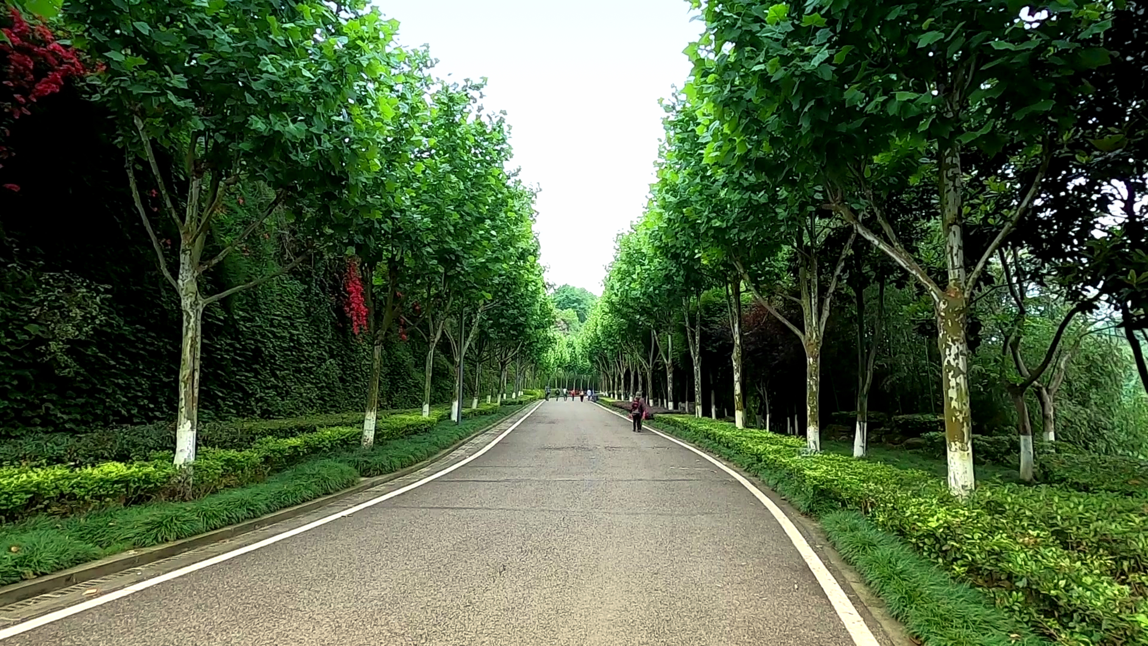 实拍重庆园博园,三亚珠海佛山展区