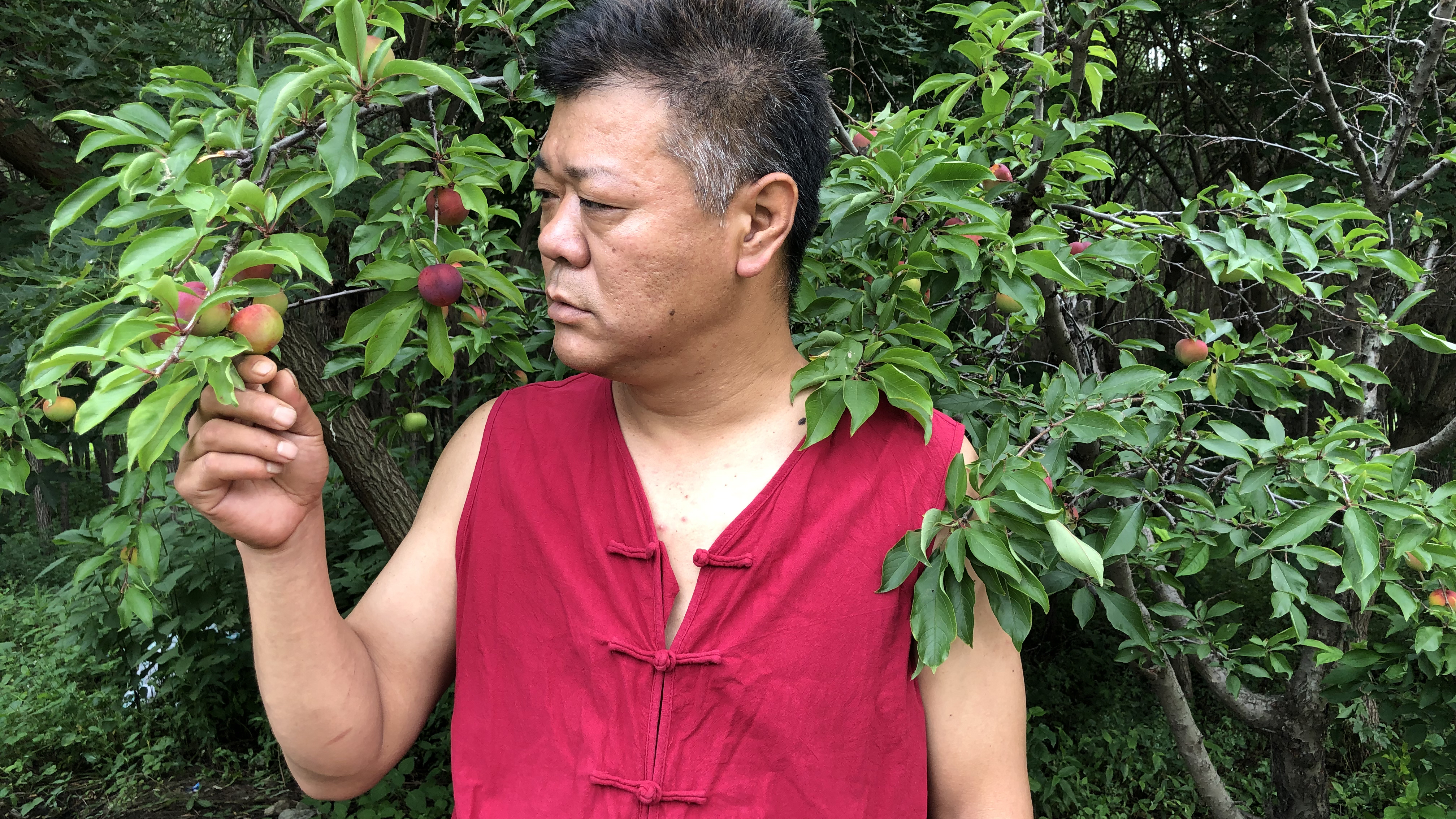 农家小院炭烤碟鱼头,肉质超级嫩,外焦里嫩