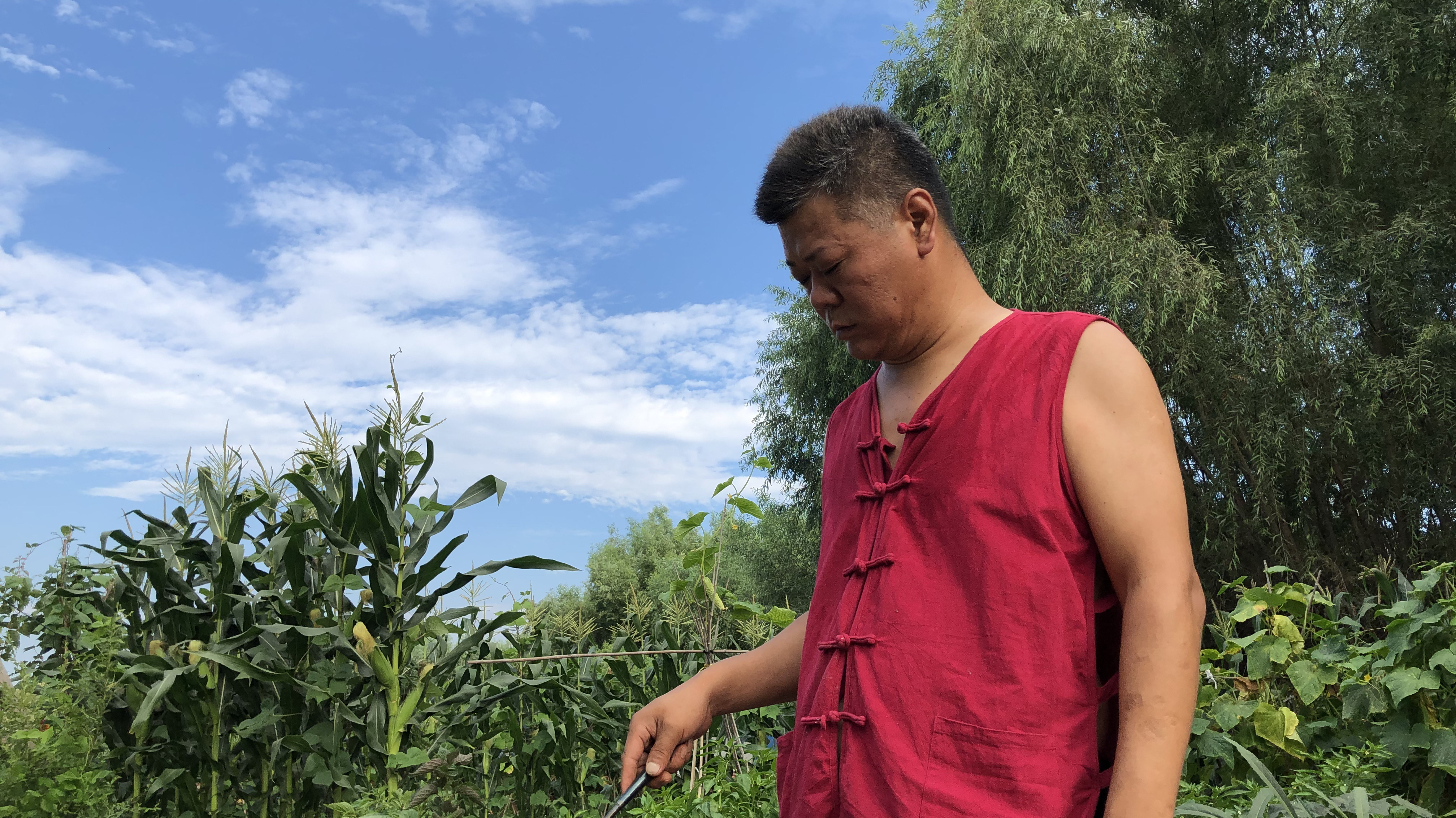 大邱做的黄蚬子焖鸡,即鲜又香一家人吃美了