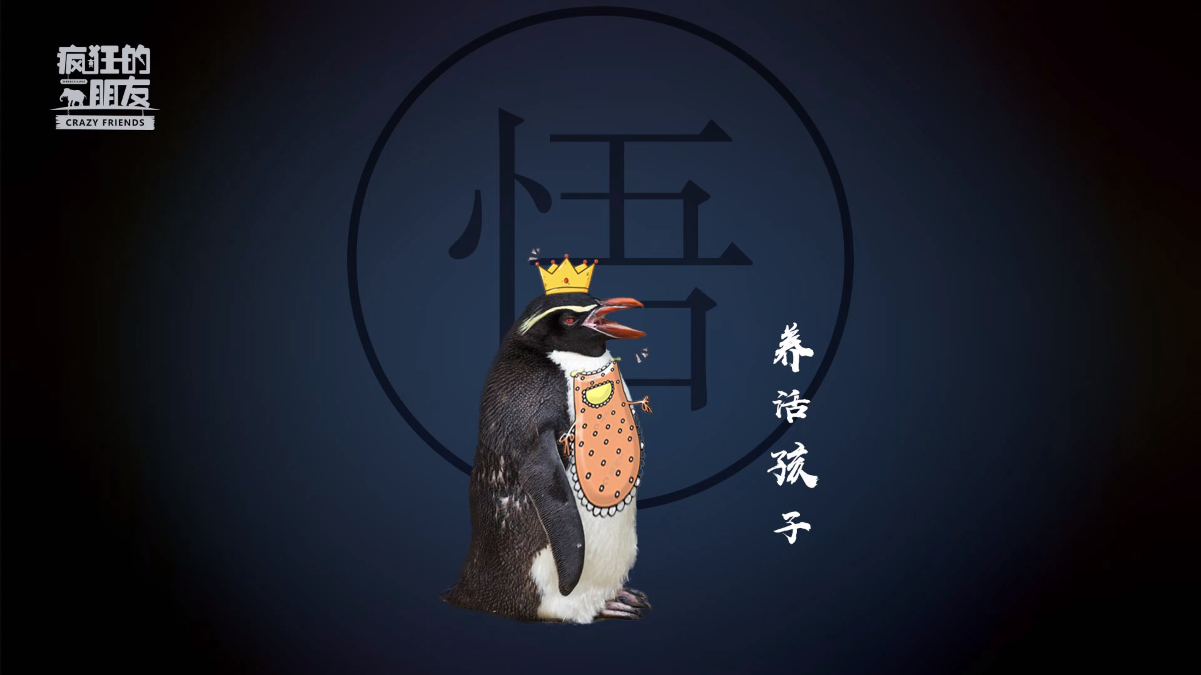 你永远不知道企鹅们为了养活孩子有多努力!