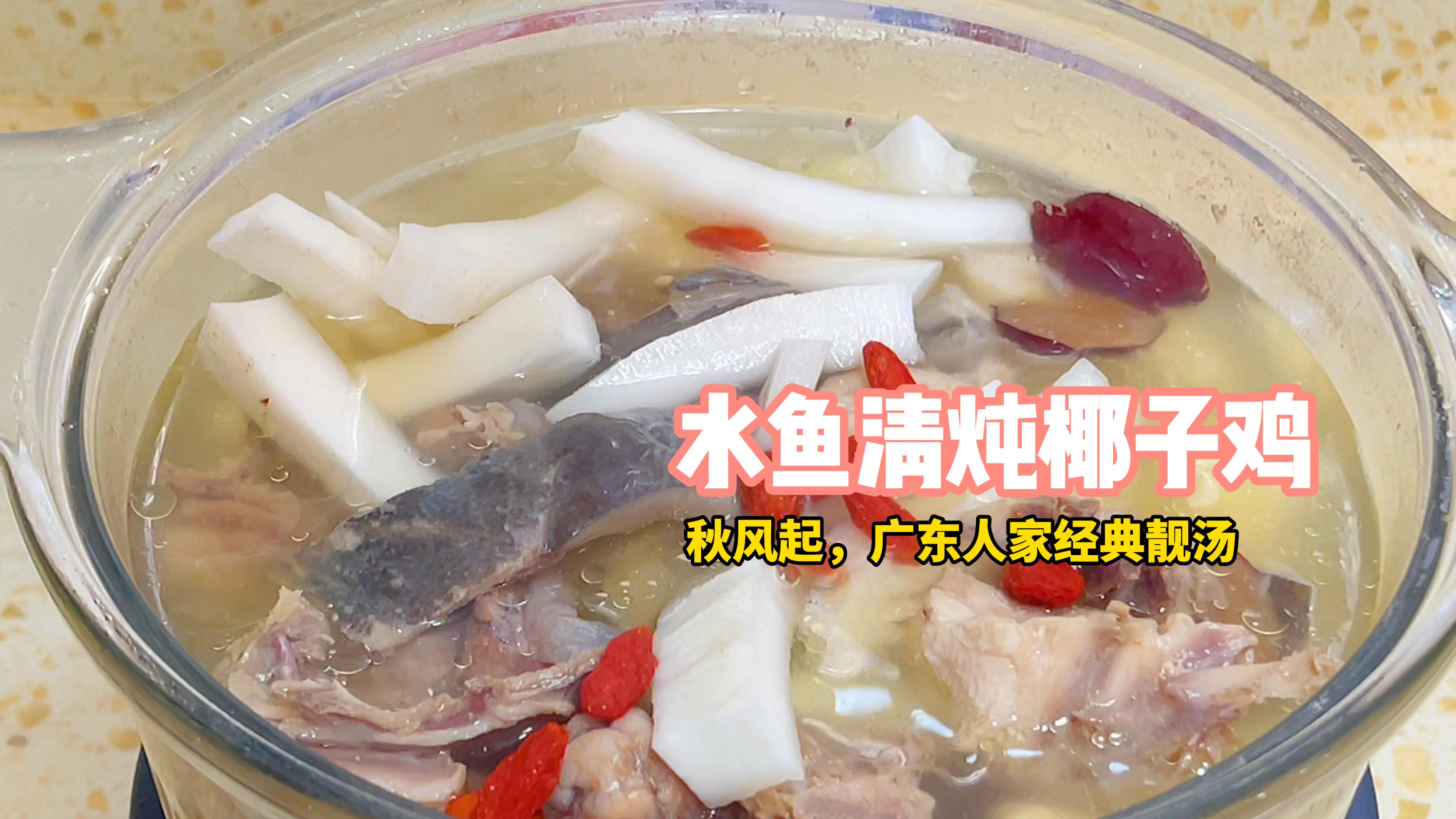 水鱼炖椰子鸡,广东人无汤不欢,入秋就炖汤