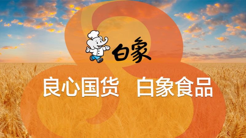 国货良心90后初中生的夜宵美食白象方便面