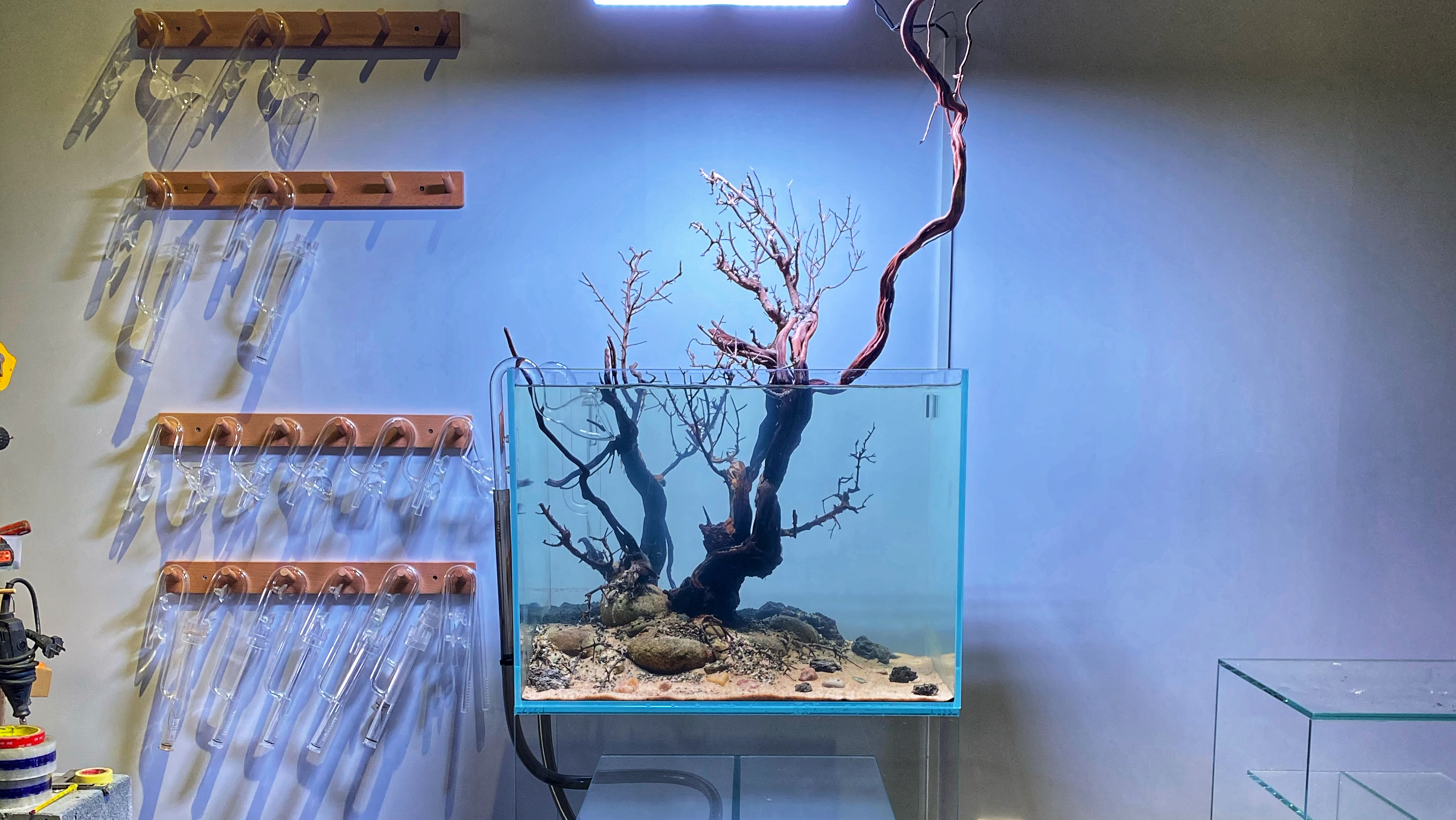 鱼缸搬家,废了!