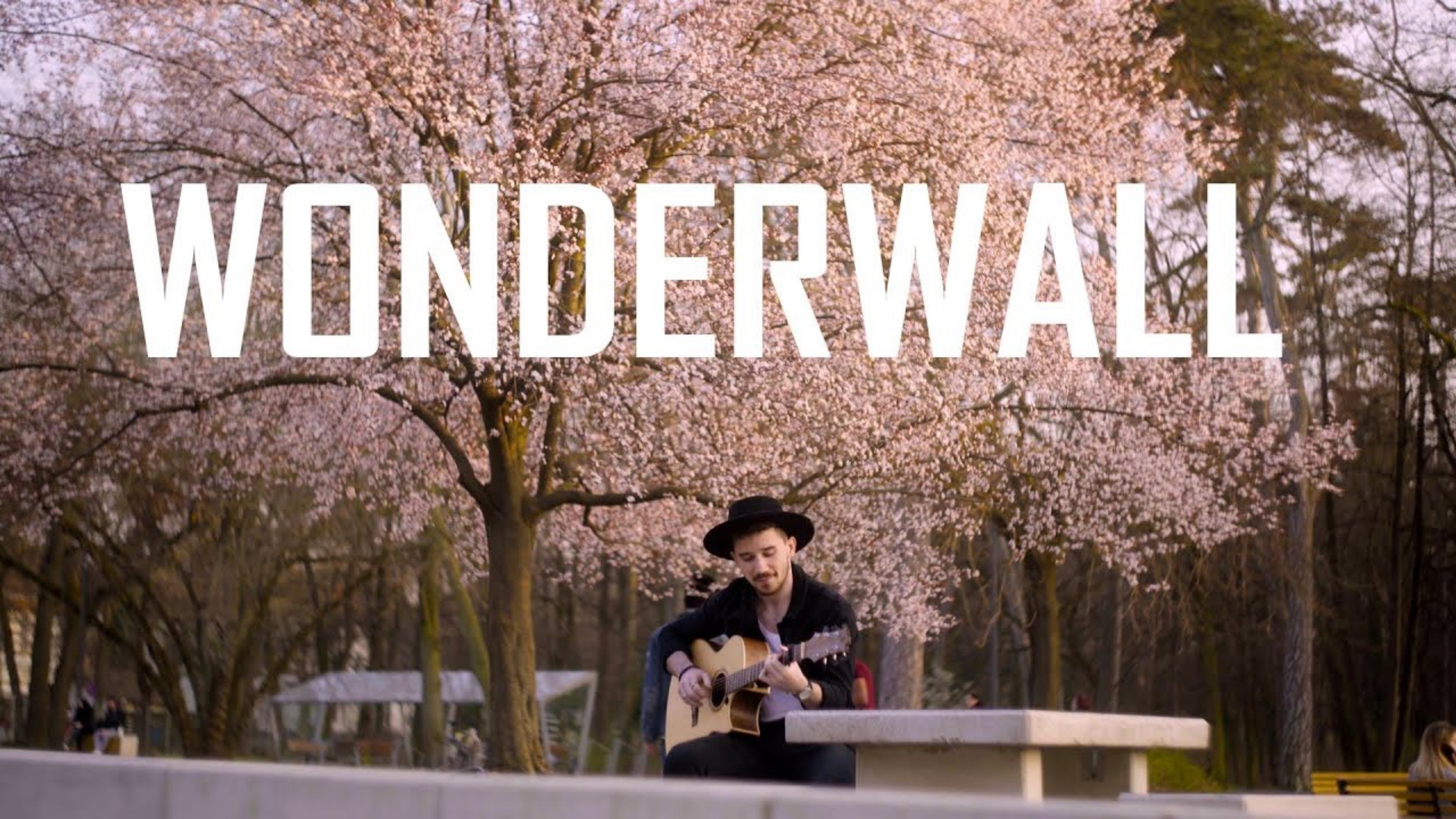 [图]英伦摇滚|Oasis的世界名曲《Wonderwall》