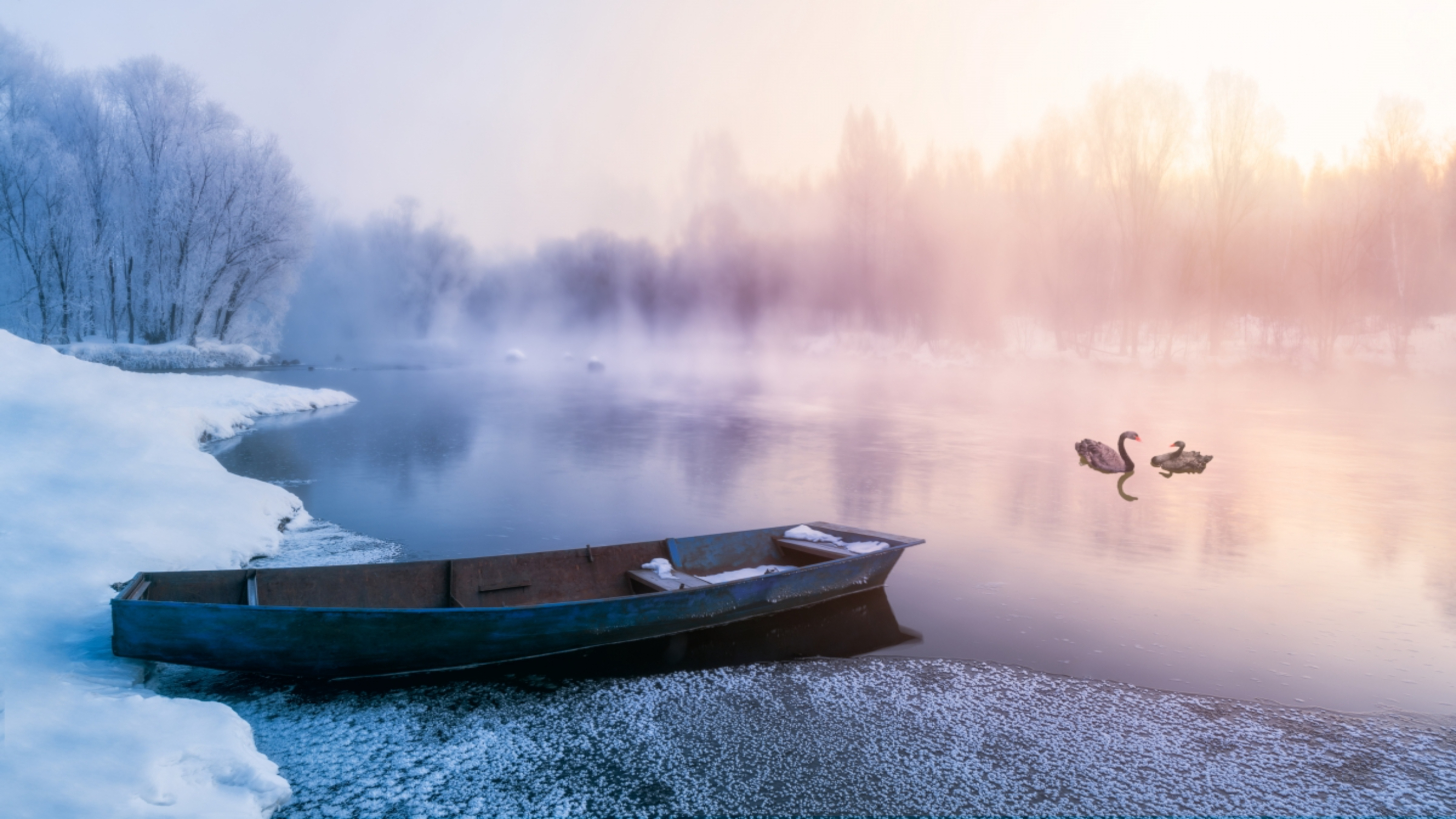 经典钢琴名曲欣赏《天鹅》