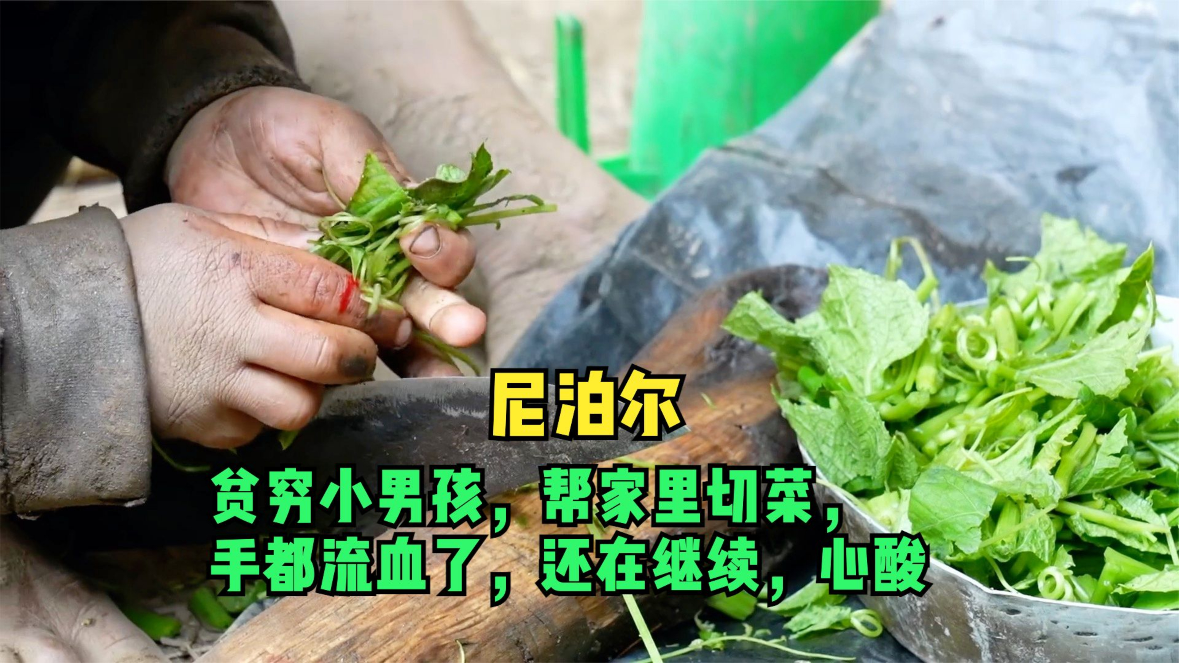 尼泊尔小男孩切菜手流血了还在继续,心酸
