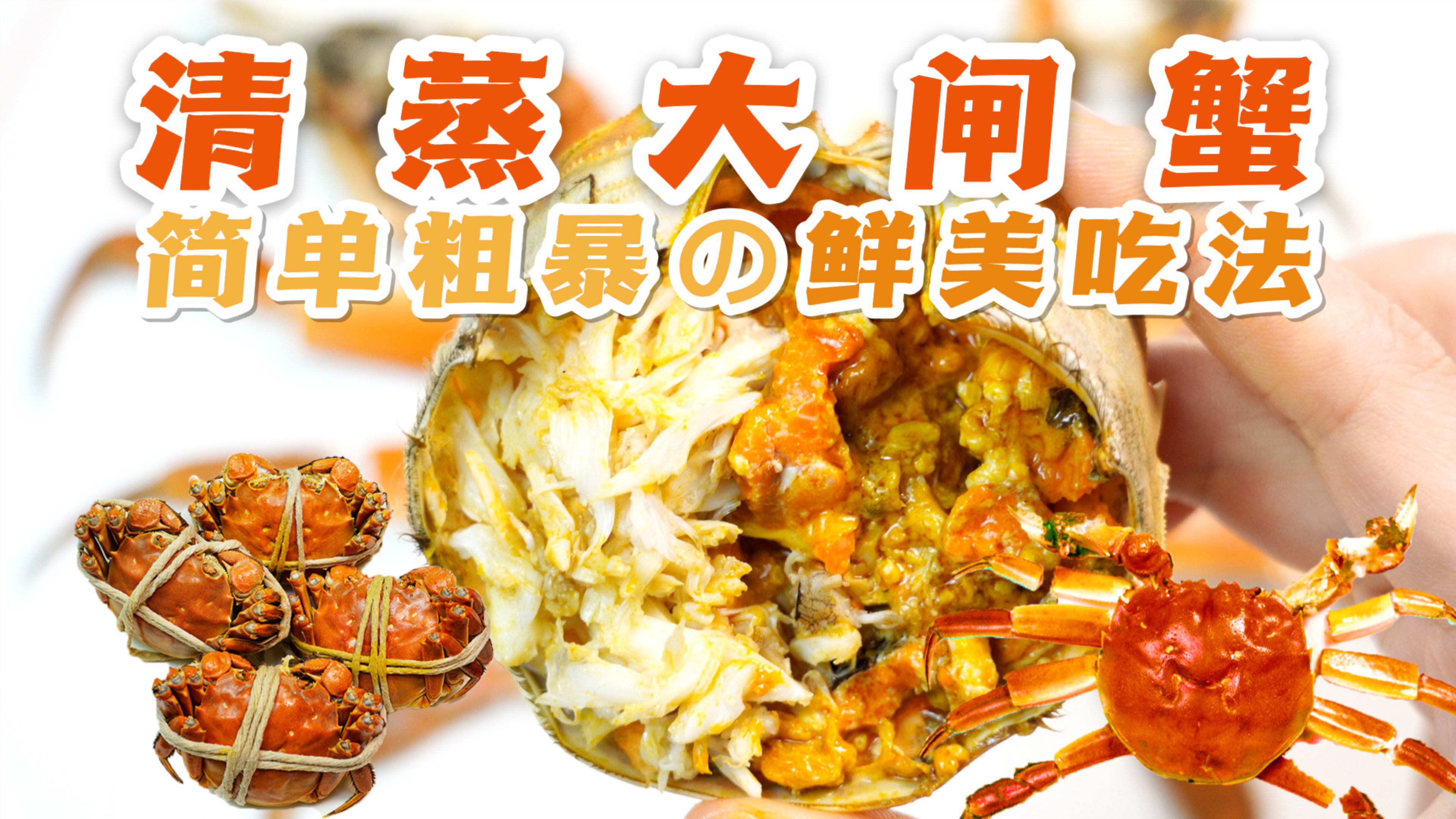 清蒸大闸蟹做法&吃法|蟹黄肥美,蟹肉鲜嫩!吃一勺满口香!