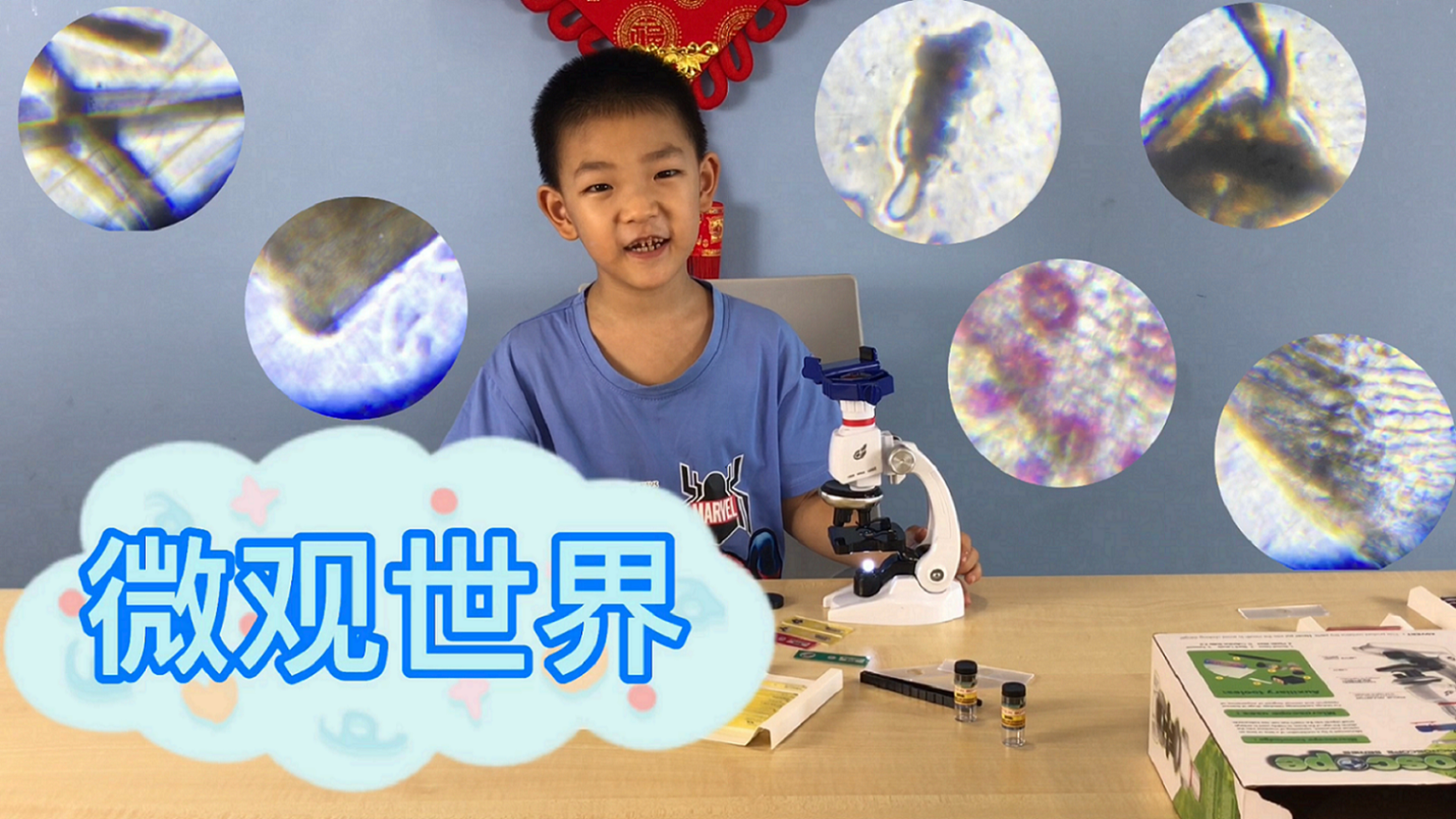 【玩具】显微镜下的微观世界,真是太神奇了! 【多多哥哥】