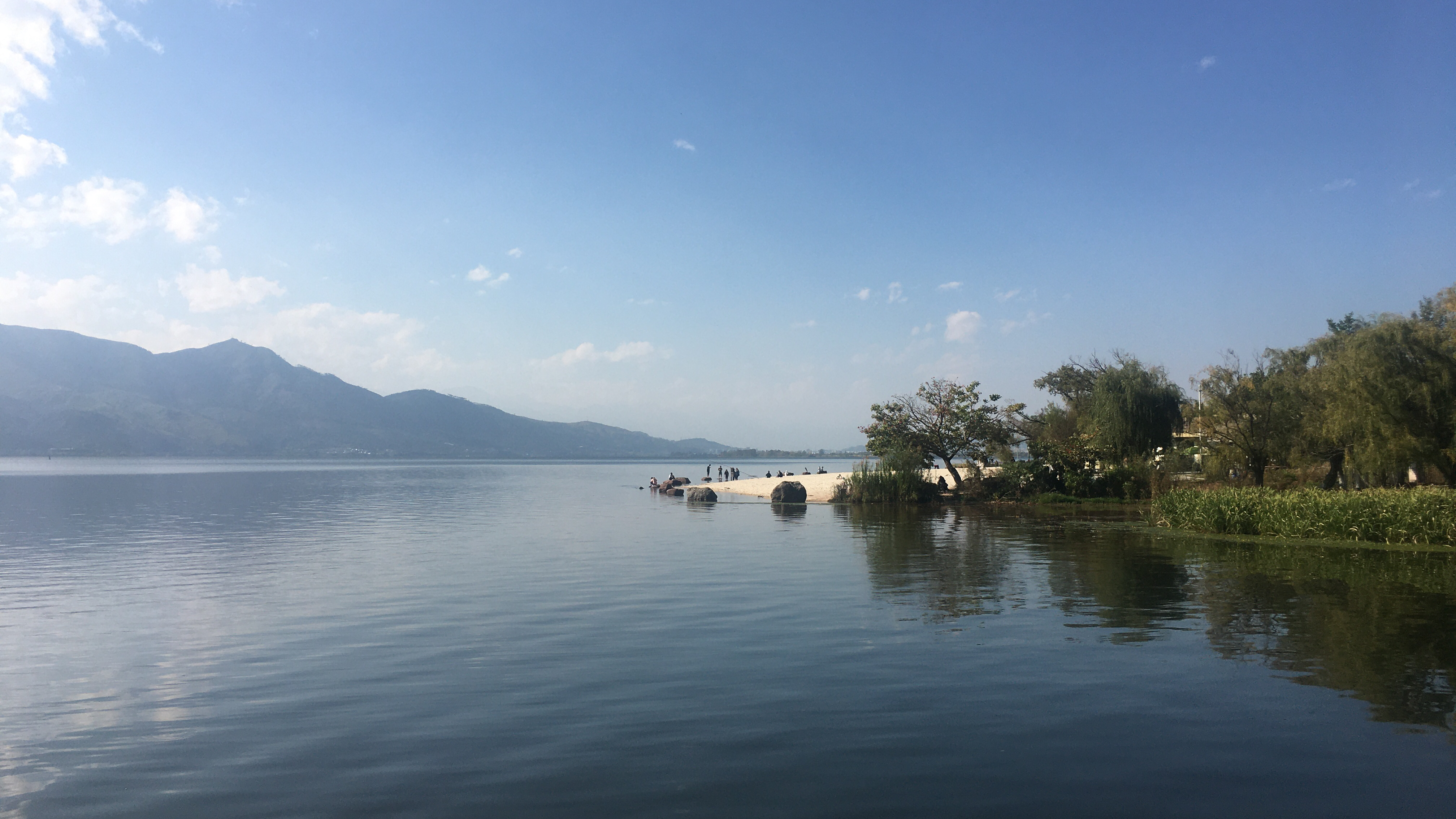 邛海湿地青龙潭栈道,鲤鱼听佛经