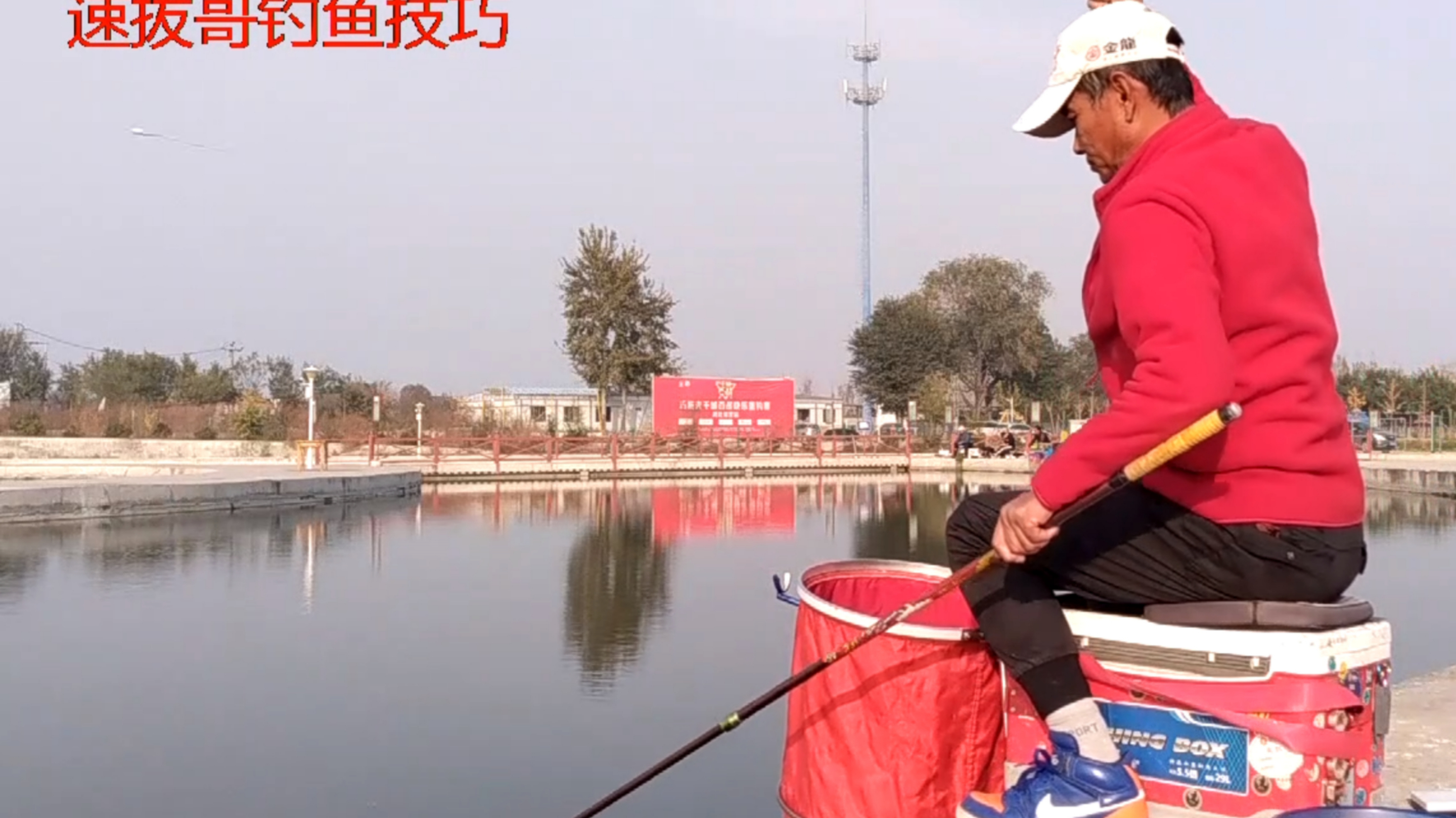 速拔满天星泡泡球的正确玩法,顶级钓鱼拉虾肉,沾颗粒麻团技巧