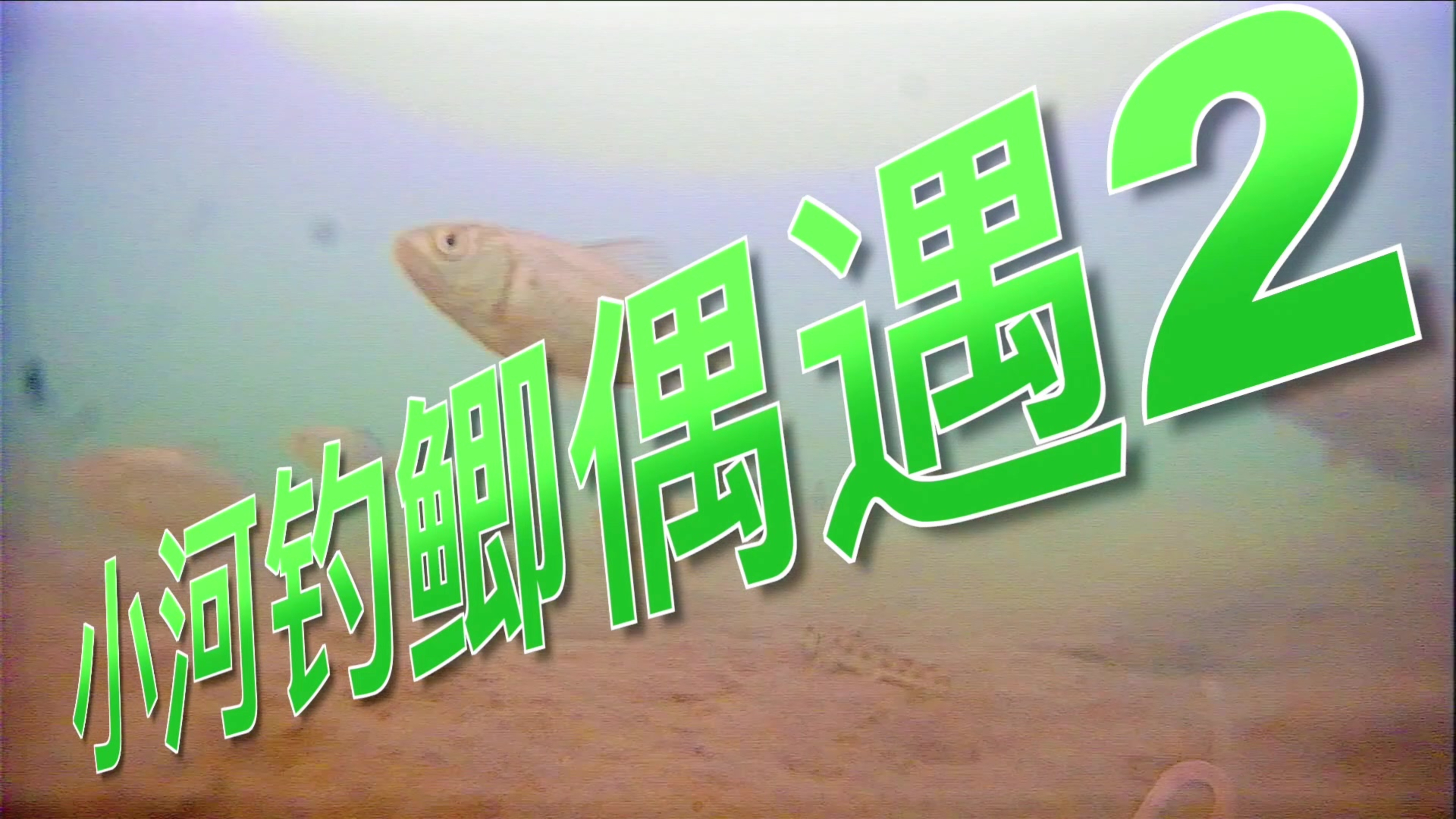 自然水域鱼怎么吃饵2