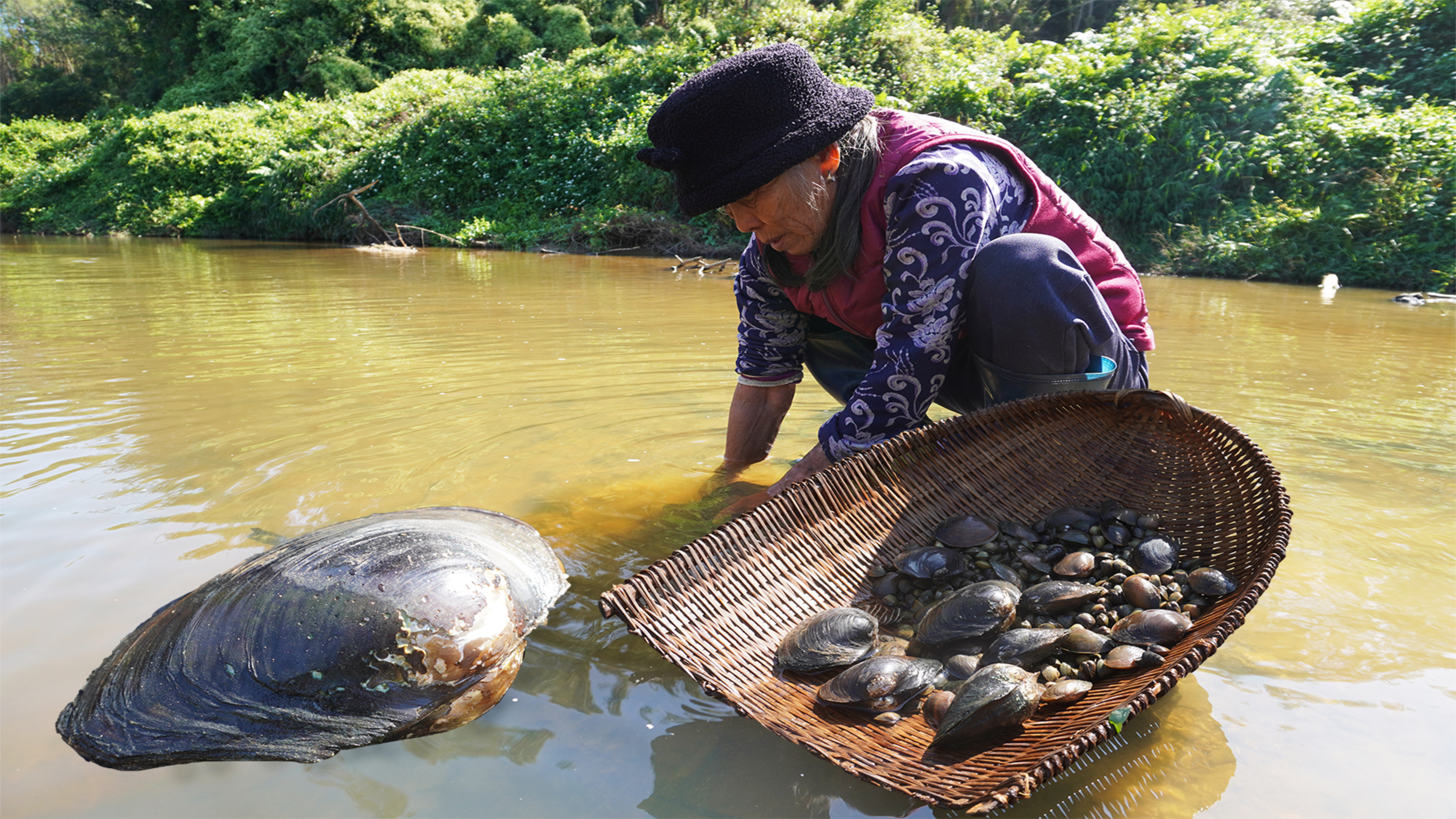 河蚌怎么做最好吃?阿婆教你2种简单做法,口感好,味道鲜